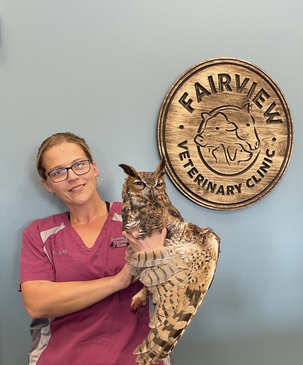 Dr. Amy Klauer
